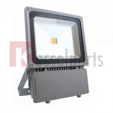 Led buitenlamp 100W Wit